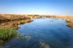 سند تالاب بینالمللی گاوخونی صادر شد سند تالاب بینالمللی گاوخونی صادر شد