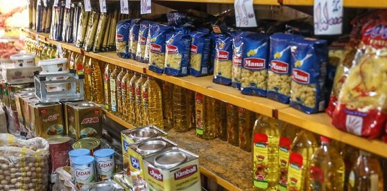 تخصیص یک میلیارد دلار ارز برای واردات کالاهای اساسی به کشور
