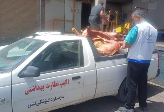 توقیف بیش از هزار کیلوگرم گوشت غیرقابل مصرف در شهرستان کاشان