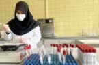 پایش بروسلوز بیش از ۵ هزار راس دام سنگین در شهرستان نجف آباد