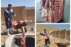 حذف لاشه دام سنگین آلوده به سپتی سمی از چرخه مصرف انسانی در فریدن