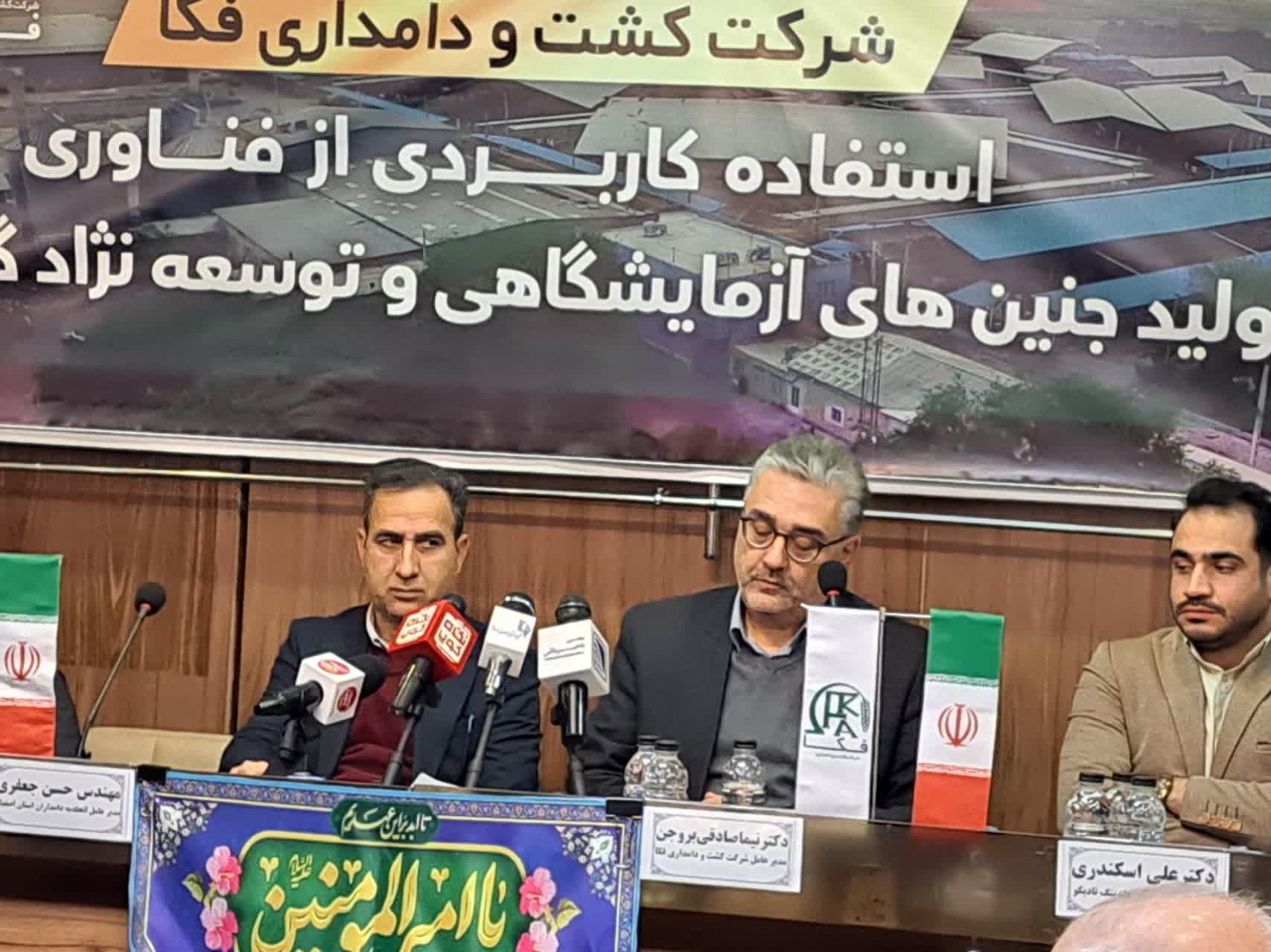 تولید جنینهای آزمایشگاهی و توسعه نژاد گاو جرسی در شرکت کشت و دامداری فکا