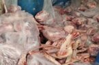 کشف و معدوم سازی بیش از ۵۰۰ کیلوگرم گوشت شتر تاریخ مصرف گذشته در شهرستان خمینی شهر