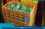 کشف و توقیف ۸۵ کیلوگرم مرغ تاریخ مصرف گذشته در شهرستان اصفهان