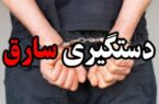 سارق محصولات باغ ها درخمینی‌شهر دستگیر شد