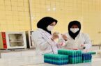 پایش بیماری بروسلوز در بیش از ۷ هزار رأس دام سبک و سنگین شهرستان نجف آباد