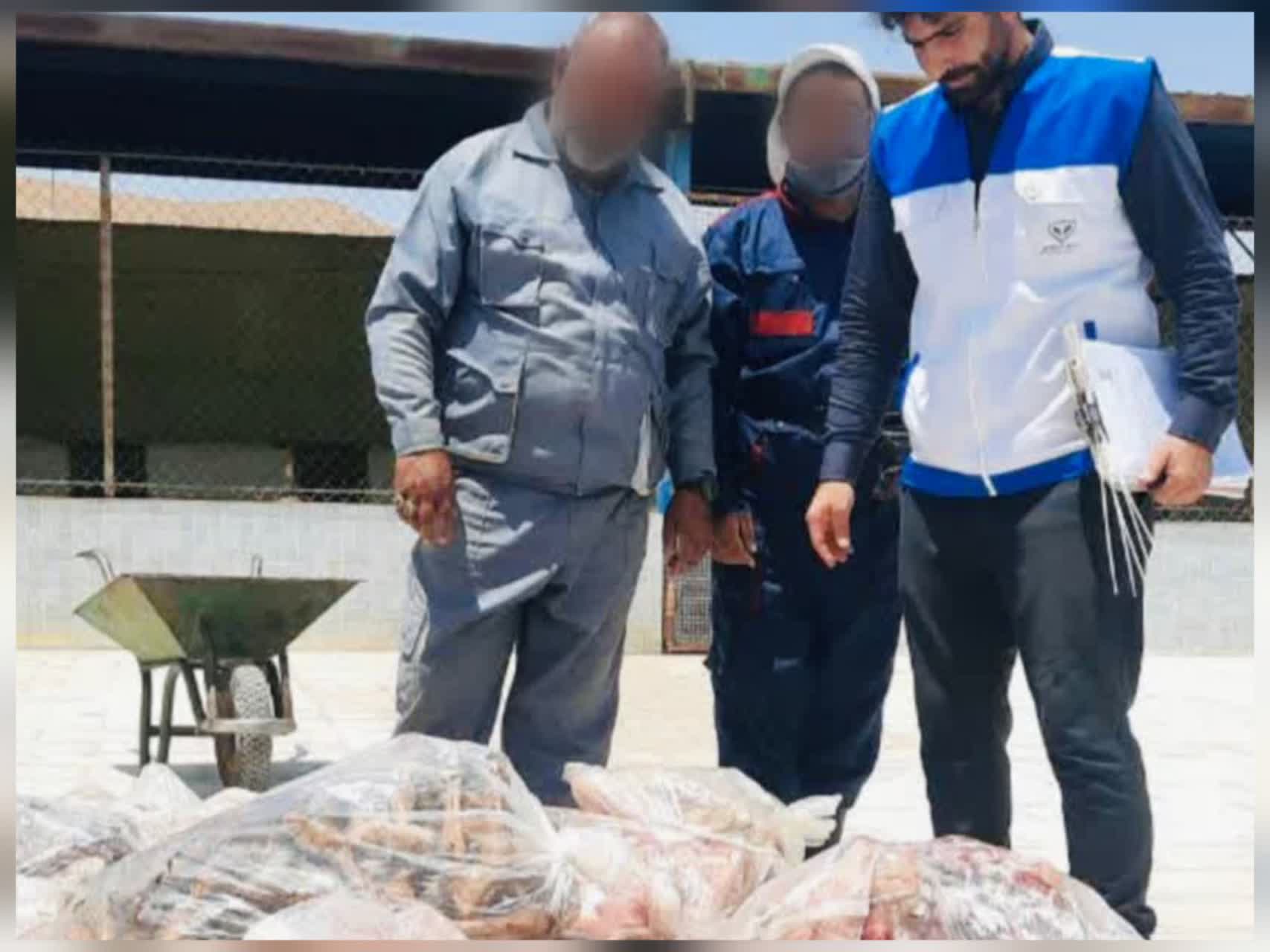 شماسایی و پلمب یک سردخانه غیرمجاز به همراه محموله کلهپاچه فاسد در نجفآباد