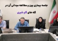 نشست بررسی بیماری یون؛ گامی برای حفظ سلامت گله‌های شیری اصفهان