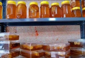 شناسایی محل تولید عسل تقلبی در یک منزل مسکونی در نجف‌آباد