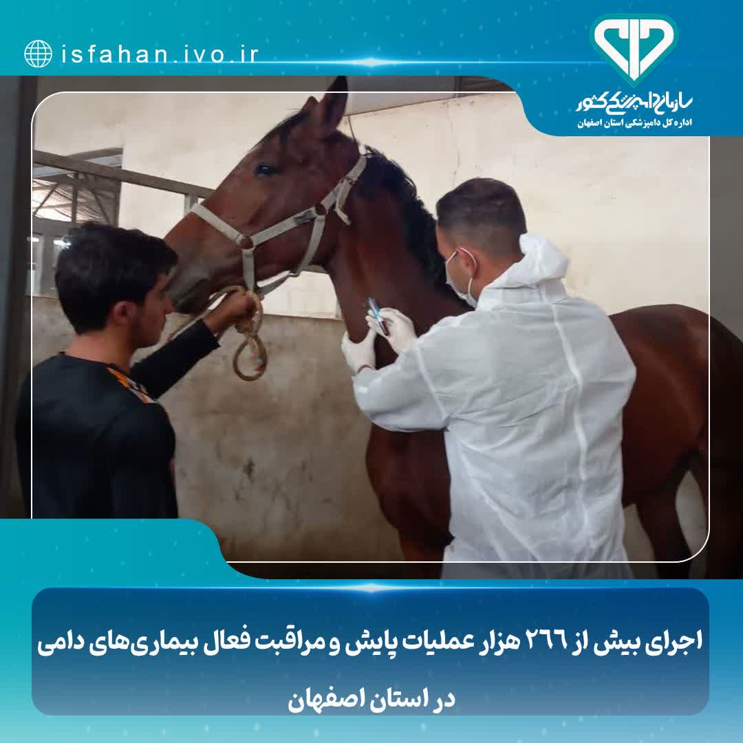اجرای بیش از ۲۶۶ هزار عملیات پایش و مراقبت فعال بیماریهای دامی در استان اصفهان